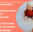 Поздравляем с победой в конкурсе! - Чудовский район