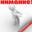 Объявление. - Чудовский район
